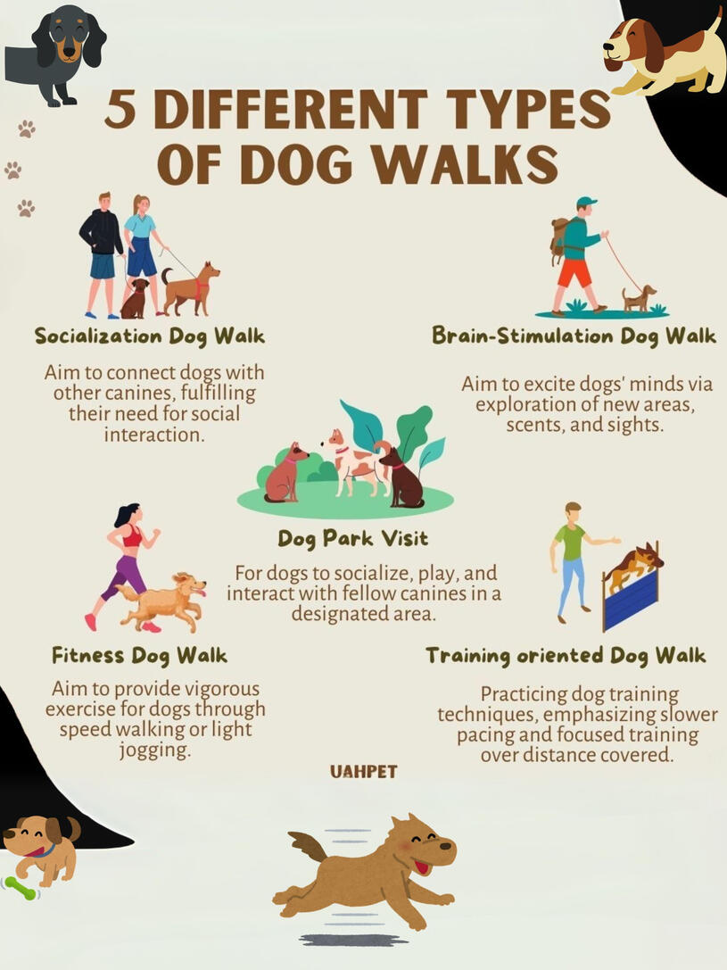 5 Different Types of Dog Walks